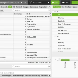 On-page-optimization-result-of-screamingfrog